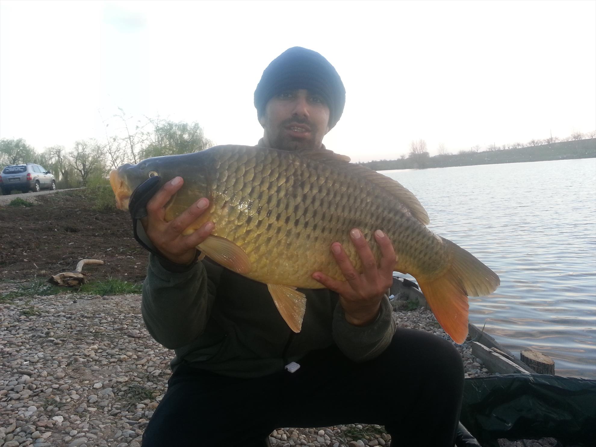 Hermes Peris 3 - 5 aprilie 2015 - 20150404193228.jpg